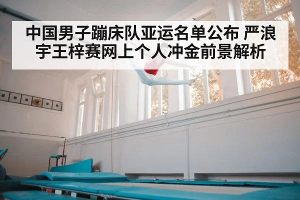 中国男子蹦床队亚运名单公布 严浪宇王梓赛网上个人冲金前景解析